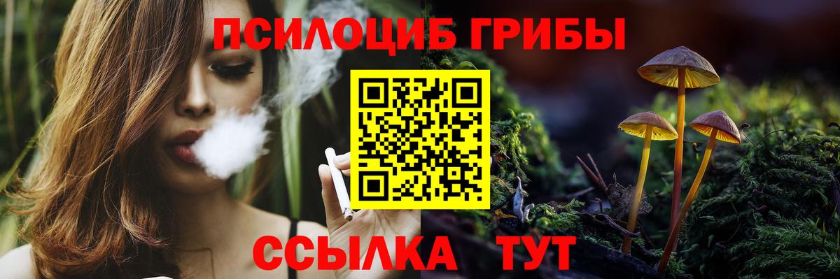 Галлюциногенные грибы мицелий Салехард